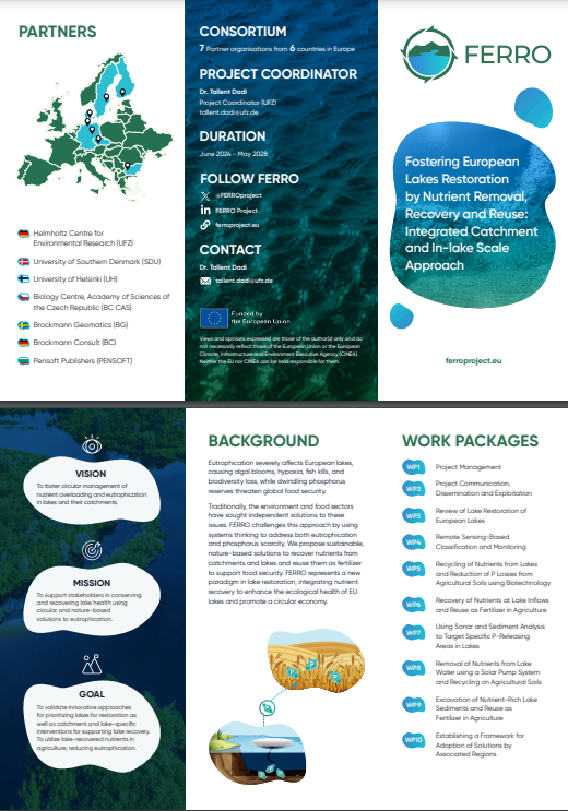 FERRO Brochure preview
