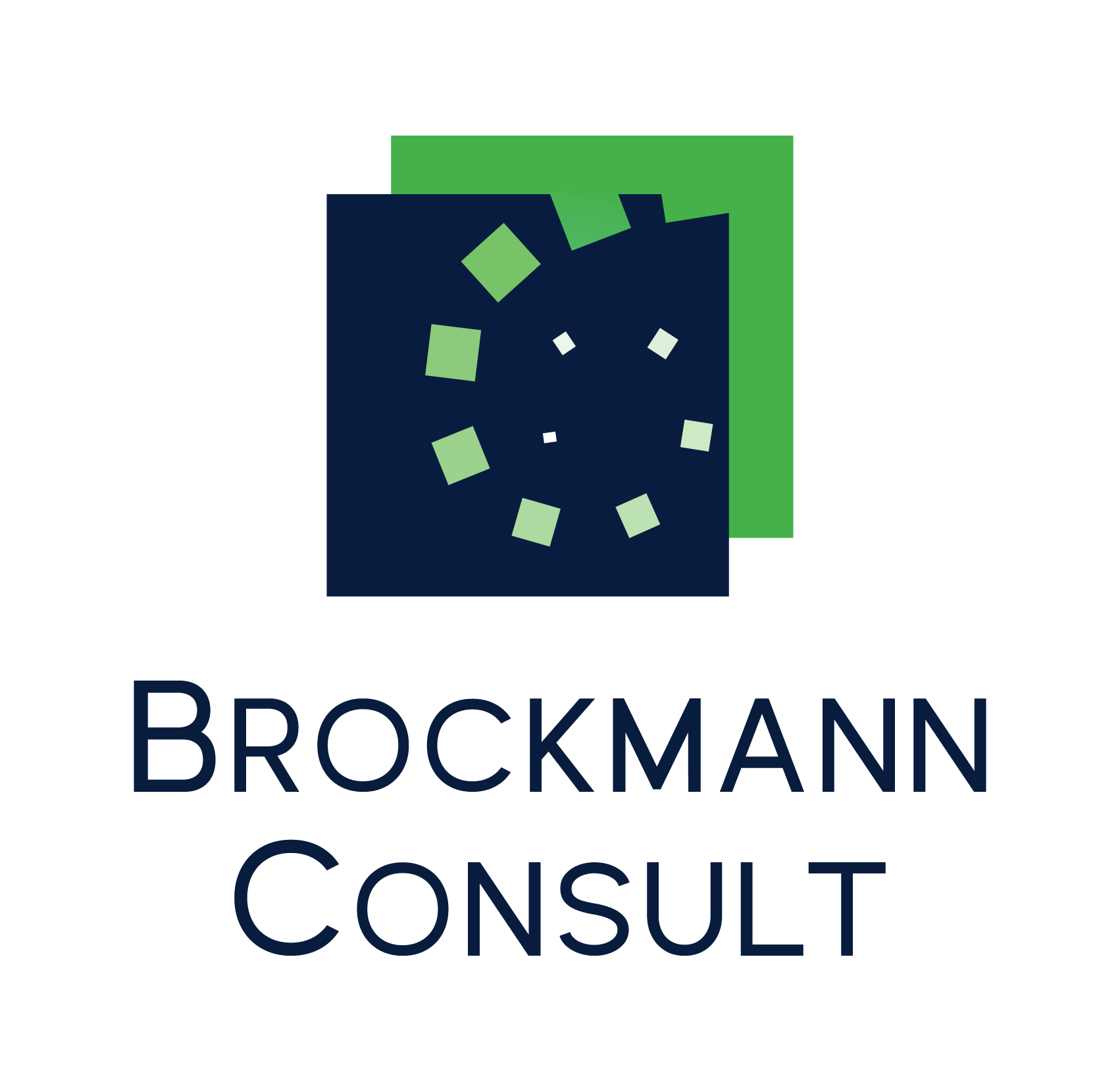 Brockmann Consult logo