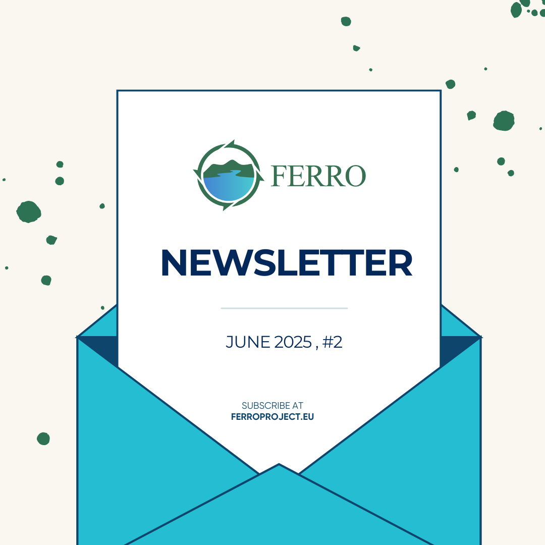 FERRO Newsletter #2 newsletter cover