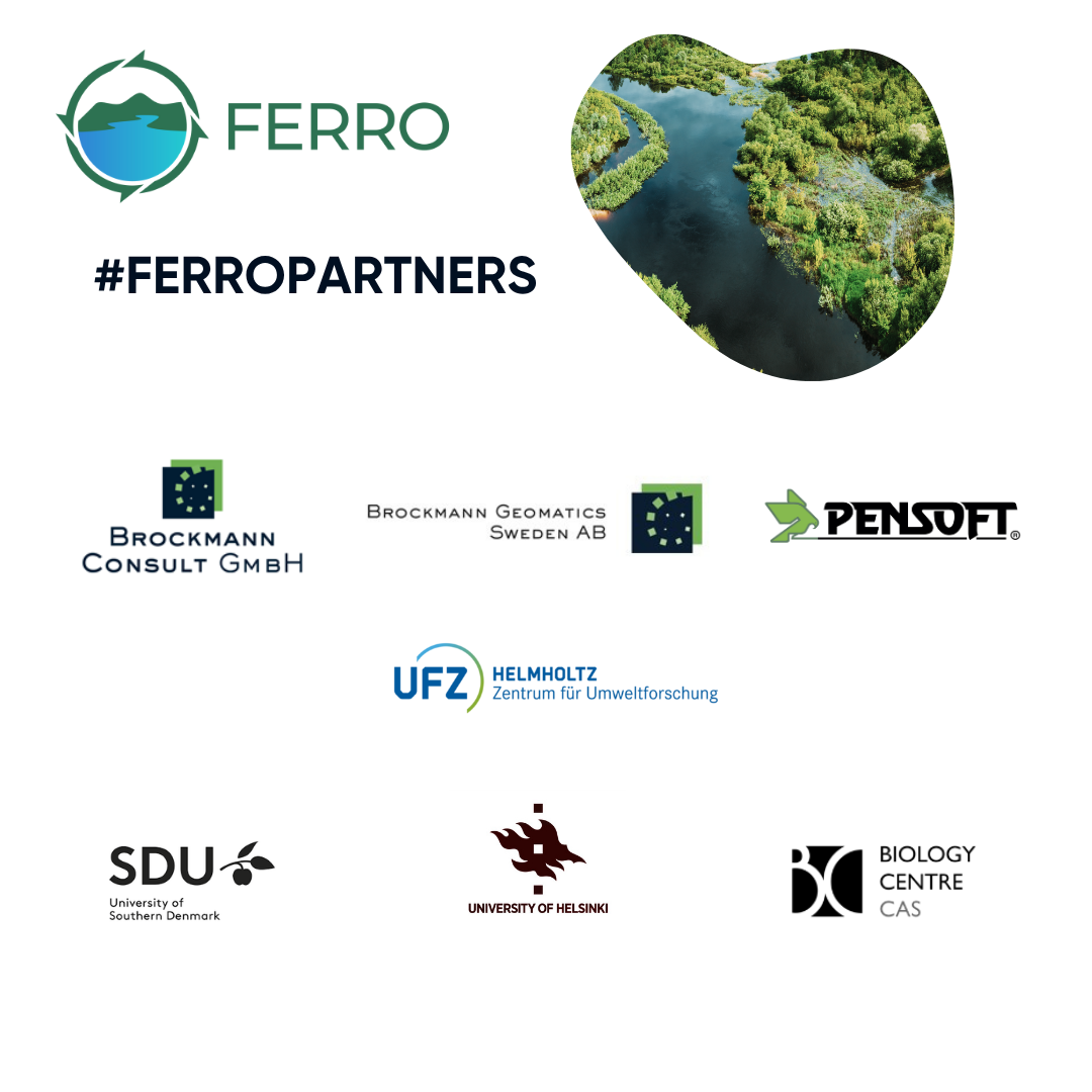 FERRO launches its first social media campaign: FERRO Partners