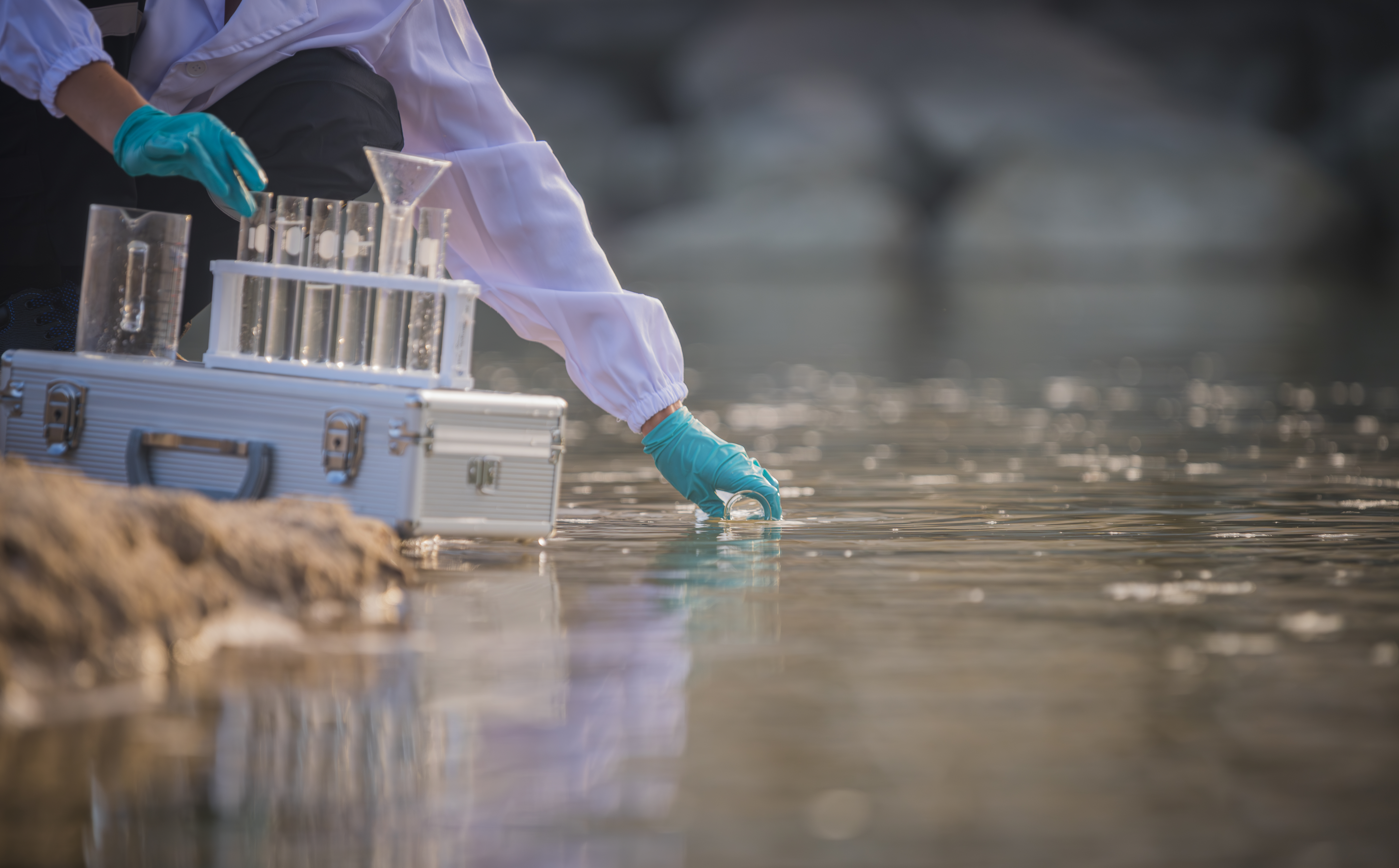 Long-term study shows sediment removal can restore water quality in urban lakes